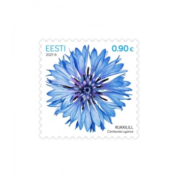 10150-rukkilill.jpg