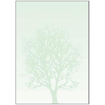 Dekoratiivpaber A4/100g, 50 lk/pk Drzewo