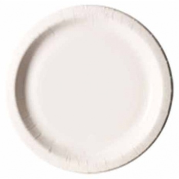 Papptaldrik 22CM.100tk/pk.