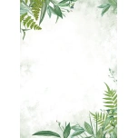 Diplomiblankett A4/190g, 20l/pk, Peony (Piwonie)