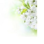 Koopiapaber A5/80g.  500l/pk.