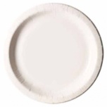 Papptaldrik 22CM.100tk/pk.